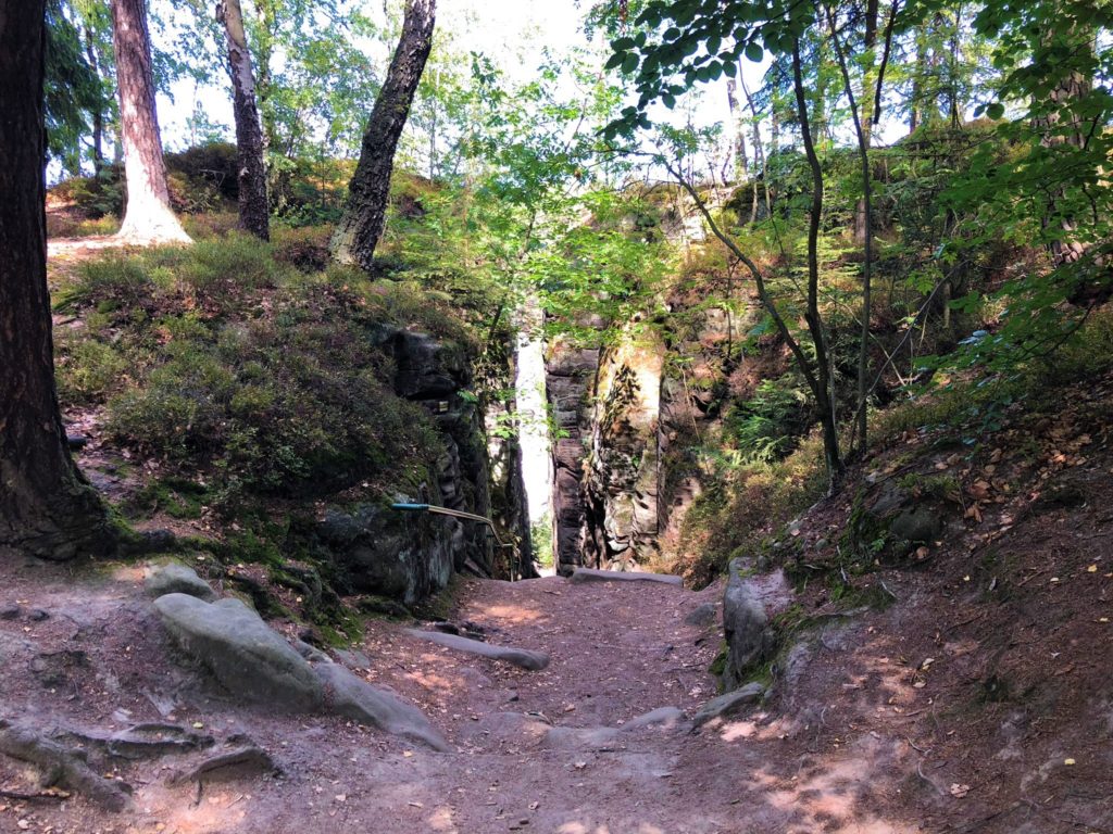 Prachovské skály 